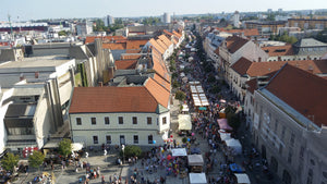 A day in Trnava!